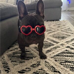 ❤️❤️🛍️🛍️#1 Unlisted Co Host Show 🛍️🛍️ ❤️❤️